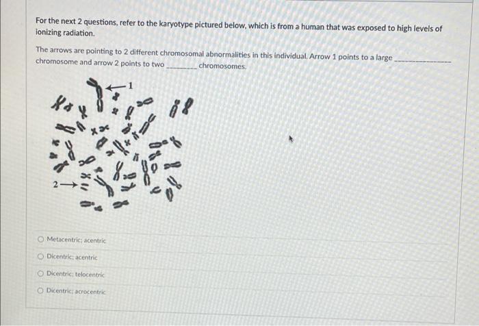 For The Next 2 Questions Refer To The Karyotype Pictured Below Which Is From A Human That Was Exposed To High Levels O 1