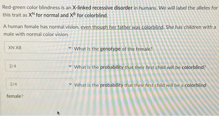 Red Green Color Blindness Is An X Linked Recessive Disorder In Humans We Will Label The Alleles For This Trait As Xn Fo 1