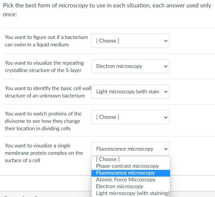 Pick The Best Form Of Microscopy To Use In Each Situation Each Answer Used Only Once You Want To Figure Out If A Bacte 1