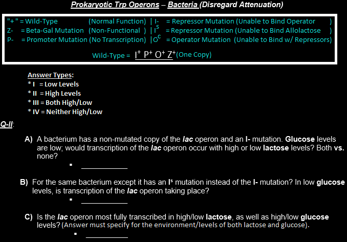 Prokaryotic Trp Operons Bacteria Disregard Attenuation Wild Type Normal Function Beta Gal Mutation Non 1
