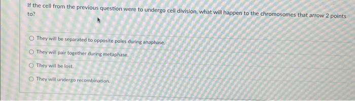 Kat 2 Xx Question 13 E I O Metacentric Acentric O Dicentric Acentric O Dicentric Telocentric O Dicentric Acroce 2