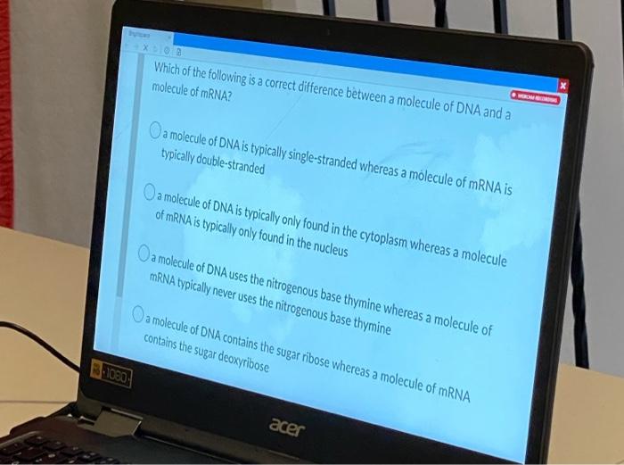 1080 X 08 Which Of The Following Is A Correct Difference Between A Molecule Of Dna And A Molecule Of Mrna Oa Molecule O 1