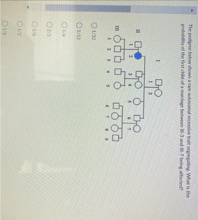 The Pedigree Below Shows A Rare Autosomal Recessive Trait Segregating What Is The Probability Of The First Child Of A M 1