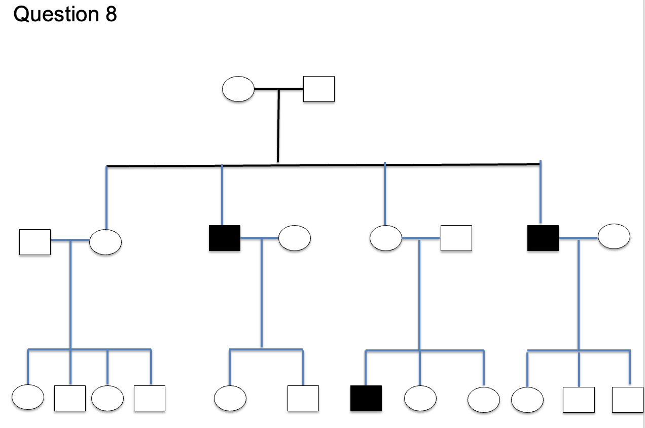 A X Linked Recessive B Autosomal Dominant C Mitochondrial D Autosomal Recessive E X Linked Dominant 1
