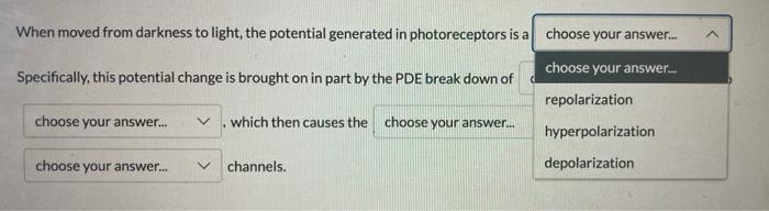 When Moved From Darkness To Light The Potential Generated In Photoreceptors Is A Choose Your Answer Choose Your Answ 1