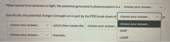 When Moved From Darkness To Light The Potential Generated In Photoreceptors Is A Choose Your Answer Choose Your Answ 2