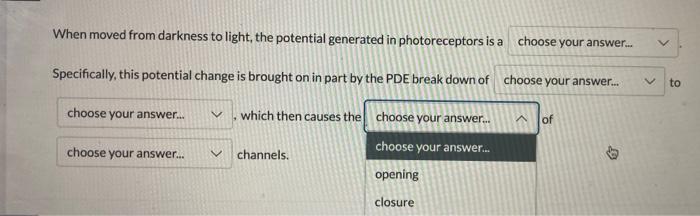 When Moved From Darkness To Light The Potential Generated In Photoreceptors Is A Choose Your Answer Choose Your Answ 4