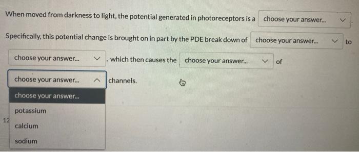 When Moved From Darkness To Light The Potential Generated In Photoreceptors Is A Choose Your Answer Choose Your Answ 5