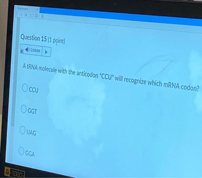Question 22 3 Points 1080 Listen Which Of The Following Are Examples Of Epigenetic Regulation Of Gene Expression Ox 2