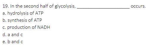 19 In The Second Half Of Glycolysis A Hydrolysis Of Atp B Synthesis Of Atp C Production Of Nadh D A And C E B And 1