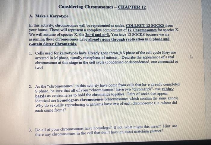 Considering Chromosomes Chapter 12 A Make A Karyotype In This Activity Chromosomes Will Be Represented As Socks Colle 1