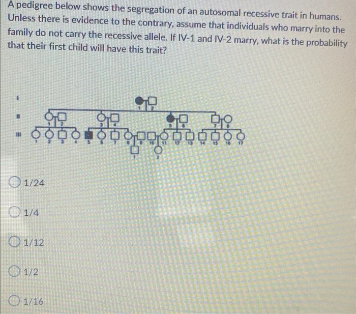 A Pedigree Below Shows The Segregation Of An Autosomal Recessive Trait In Humans Unless There Is Evidence To The Contra 1