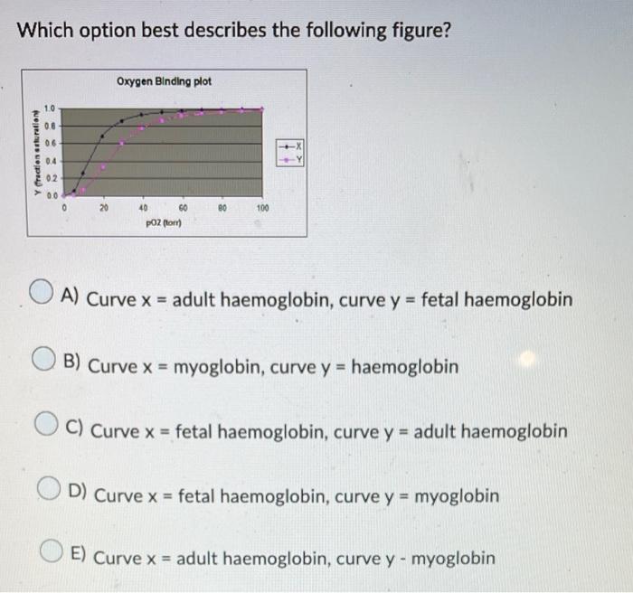 Which Option Best Describes The Following Figure Y Fraction Saturation 0 8 06 0 4 02 0 0 0 Oxygen Binding Plot 40 60 P 1