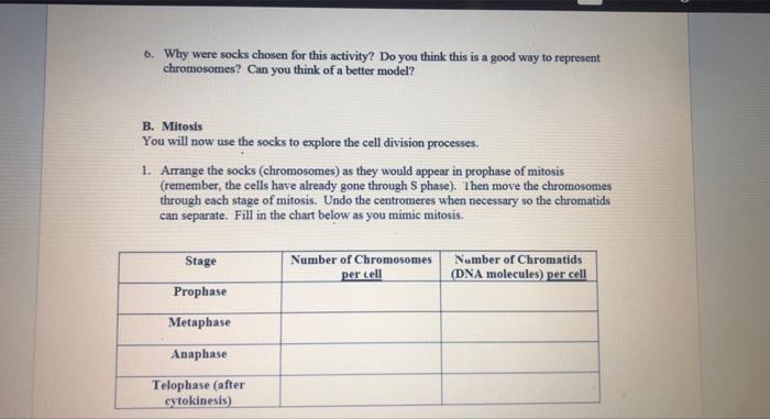 6 Why Were Socks Chosen For This Activity Do You Think This Is A Good Way To Represent Chromosomes Can You Think Of A 1