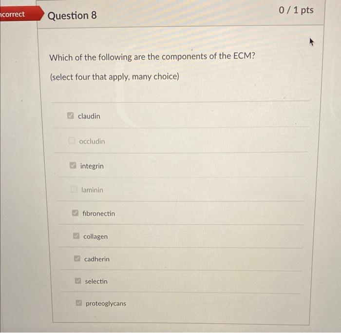 Correct Question 8 Which Of The Following Are The Components Of The Ecm Select Four That Apply Many Choice Claudin O 1