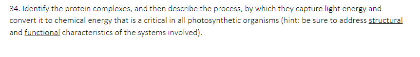 34 Identify The Protein Complexes And Then Describe The Process By Which They Capture Light Energy And Convert It To 1