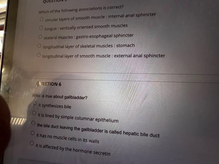 Question 1 Which Of The Following Is Noqproduced By Hepatocytes Albumins Prothrombin O Bile Lipoproteins Secretin Quest 3