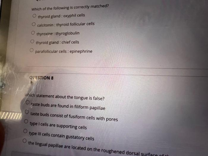 Question 1 Which Of The Following Is Noqproduced By Hepatocytes Albumins Prothrombin O Bile Lipoproteins Secretin Quest 4