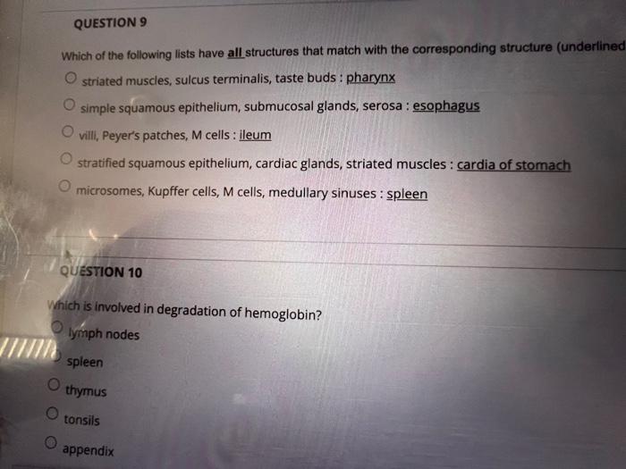 Question 1 Which Of The Following Is Noqproduced By Hepatocytes Albumins Prothrombin O Bile Lipoproteins Secretin Quest 5