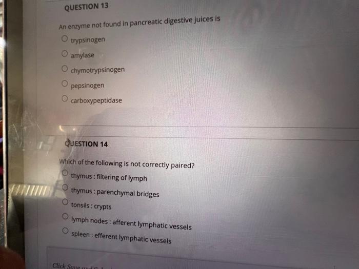 Question 1 Which Of The Following Is Noqproduced By Hepatocytes Albumins Prothrombin O Bile Lipoproteins Secretin Quest 7