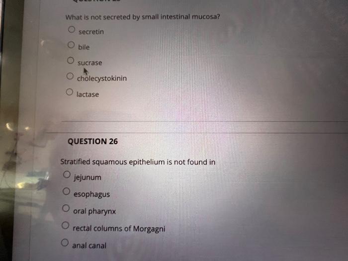 Question 1 Which Of The Following Is Noqproduced By Hepatocytes Albumins Prothrombin O Bile Lipoproteins Secretin Quest 13