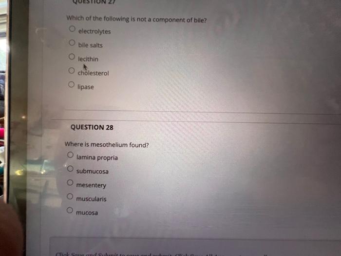Question 1 Which Of The Following Is Noqproduced By Hepatocytes Albumins Prothrombin O Bile Lipoproteins Secretin Quest 14