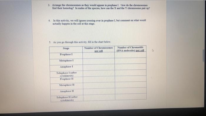 3 Arrange The Chromosomes As They Would Appear In Prophase 1 How Do The Chromosomes Find Their Homolog In Males Of Th 1