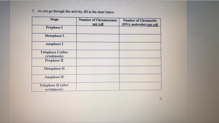 5 As You Go Through This Activity Fill In The Chart Below Number Of Chromosomes Per Cell Stage Prophase I Metaphase I 1