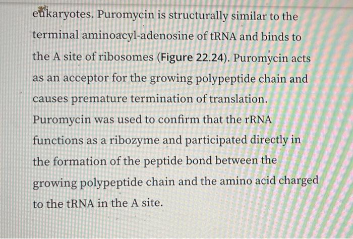 Novel Antibiotic Discovered In Worms Antibiotics That Inhibit Bacterial Protein Synthesis Bind To Bacterial Ribosomes In 2