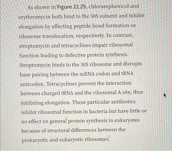 Novel Antibiotic Discovered In Worms Antibiotics That Inhibit Bacterial Protein Synthesis Bind To Bacterial Ribosomes In 3