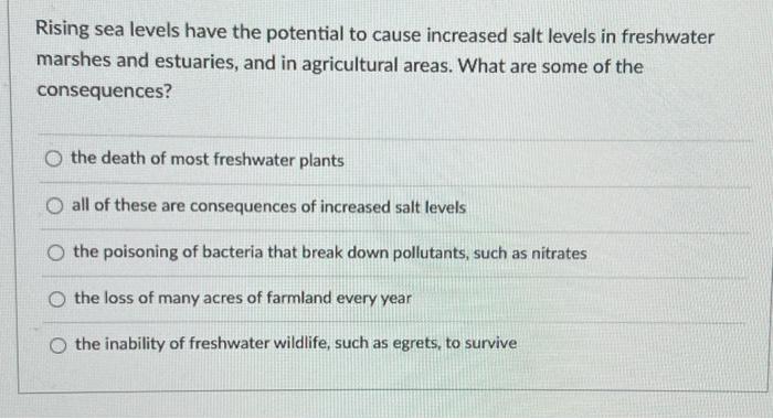 Rising Sea Levels Have The Potential To Cause Increased Salt Levels In Freshwater Marshes And Estuaries And In Agricult 1