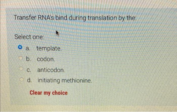 Transfer Rna S Bind During Translation By The Select One O A Template B Codon C Anticodon D Initiating Methionine 1