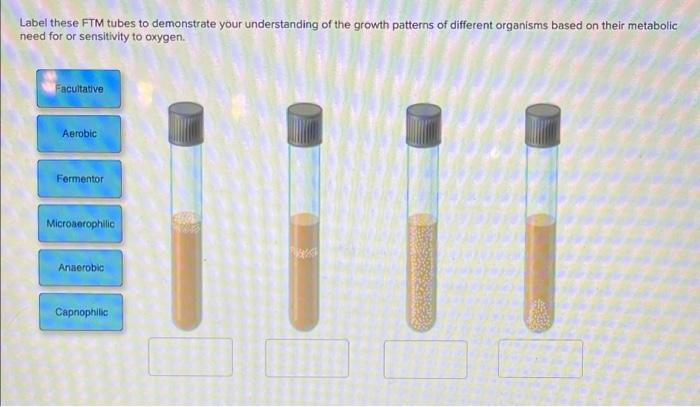 Label These Ftm Tubes To Demonstrate Your Understanding Of The Growth Patterns Of Different Organisms Based On Their Met 1