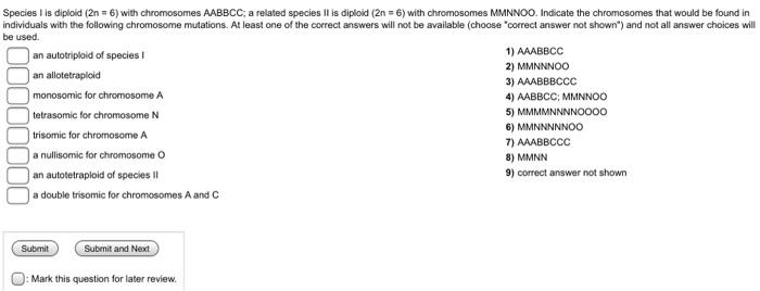 Species I Is Diploid 2n 6 With Chromosomes Aabbcc A Related Species Ii Is Diploid 2n 6 With Chromosomes Mmnnoo 1