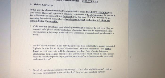 Somes Chapter 12 A Make A Karyotype In This Activity Chromosomes Will Be Represented As Socks Collect 12 Socks From Y 1