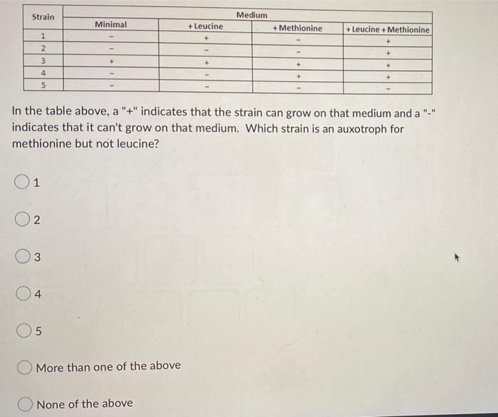 Strain 1 2 3 4 5 1 02 3 04 Minimal 5 More Than One Of The Above Leucine In The Table Above A Indicates That The S 1