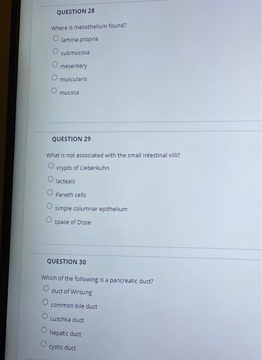 Question 25 What Is Not Secreted By Small Intestinal Mucosa Secretin Bile Sucrase Cholecystokinin Lactase Question 26 S 2