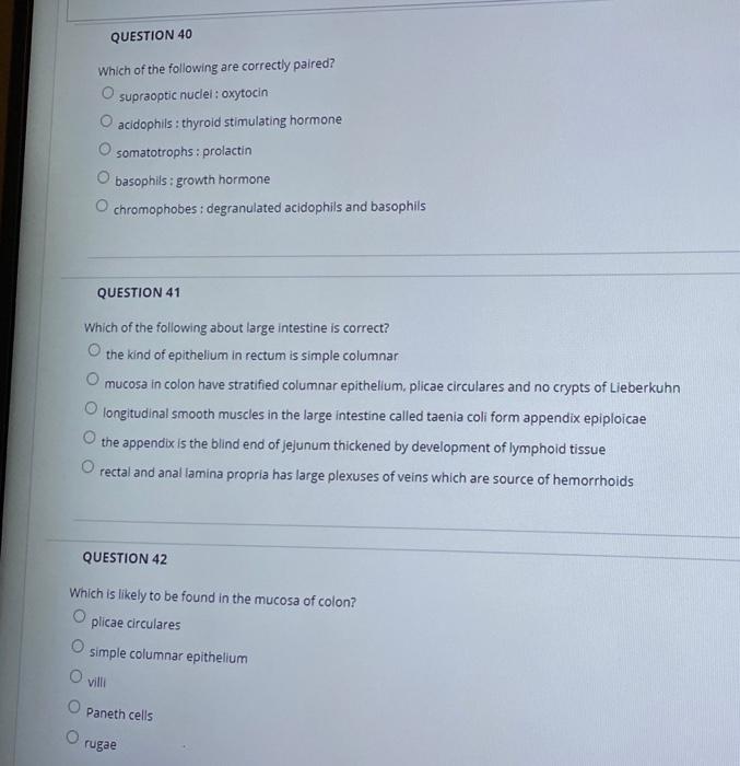 Question 37 Which Of The Following Is Not Associated With Large Intestine O Appendices Epiploicae O Appendix Taenia Col 2