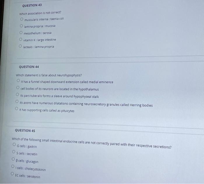 Question 37 Which Of The Following Is Not Associated With Large Intestine O Appendices Epiploicae O Appendix Taenia Col 3