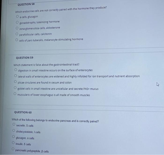 Question 49 Which Statement Is False About Both Thyroid Gland And The Parathyroid Gland Both Exist In Association With 4