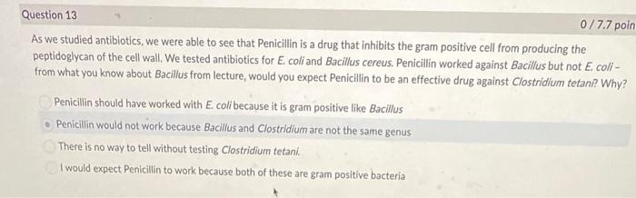 Question 13 0 7 7 Poin As We Studied Antibiotics We Were Able To See That Penicillin Is A Drug That Inhibits The Gram P 1