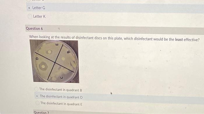 Letter G Letter K Question 6 When Looking At The Results Of Disinfectant Discs On This Plate Which Disinfectant Would B 1