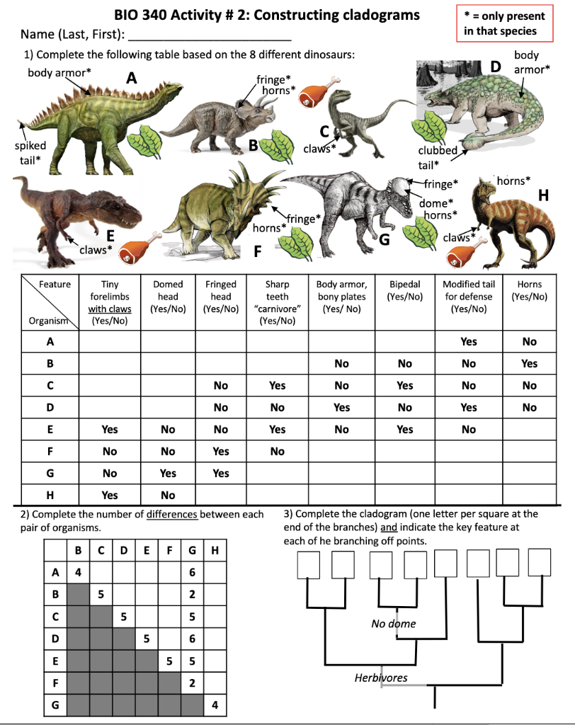 Name Last First 1 Complete The Following Table Based On The 8 Different Dinosaurs Body Armor A Spiked Tail Featu 1