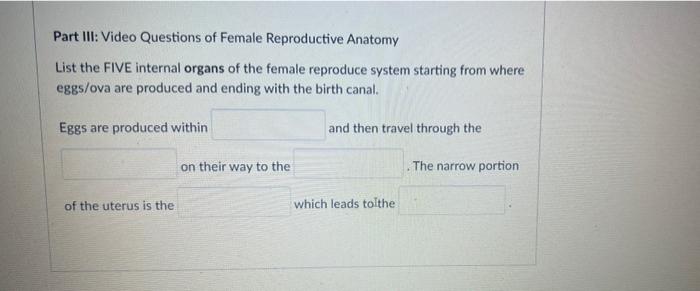 Part Iii Video Questions Of Female Reproductive Anatomy List The Five Internal Organs Of The Female Reproduce System St 1