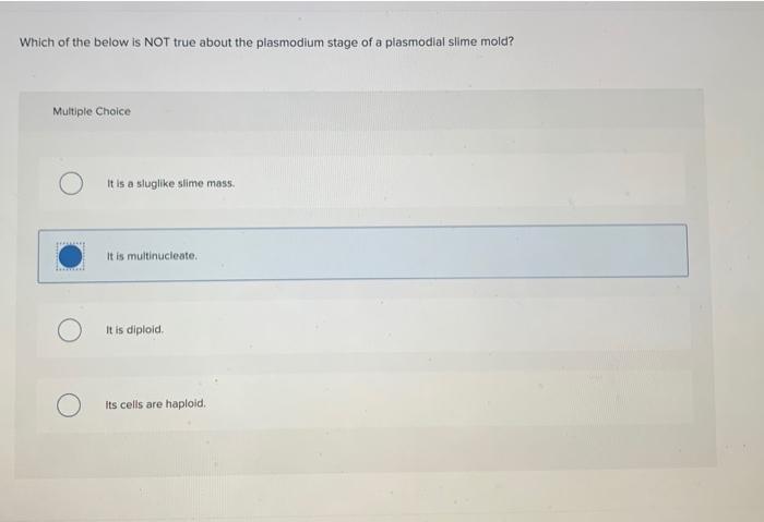 Which Of The Below Is Not True About The Plasmodium Stage Of A Plasmodial Slime Mold Multiple Choice It Is A Sluglike S 1