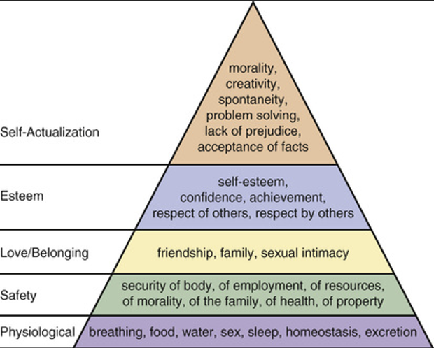 Self Actualization Esteem Love Belonging Morality Creativity Spontaneity Problem Solving Lack Of Prejudice Acceptan 1