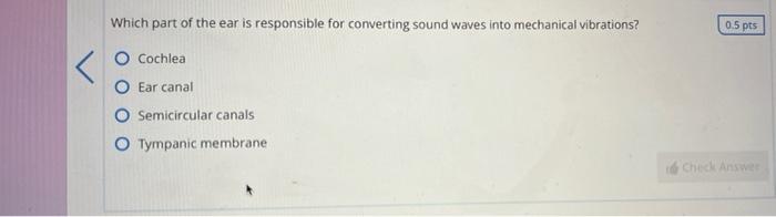 Incus Malleus Stapes Sitees 0 5 Pts Check Answer Critical Thinking Which Eye Muscle Produces The Eye Movements Indicate 3