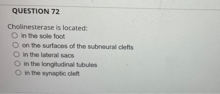Question 72 Cholinesterase Is Located O In The Sole Foot On The Surfaces Of The Subneural Clefts O In The Lateral Sacs 1