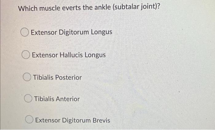 Which Muscle Everts The Ankle Subtalar Joint Extensor Digitorum Longus Extensor Hallucis Longus Tibialis Posterior Ti 1