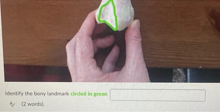 Identify The Bony Landmark Circled In Green A 2 Words 2